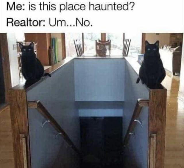 is+this+place+haunted%3F