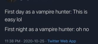 life+as+a+vampire+hunter