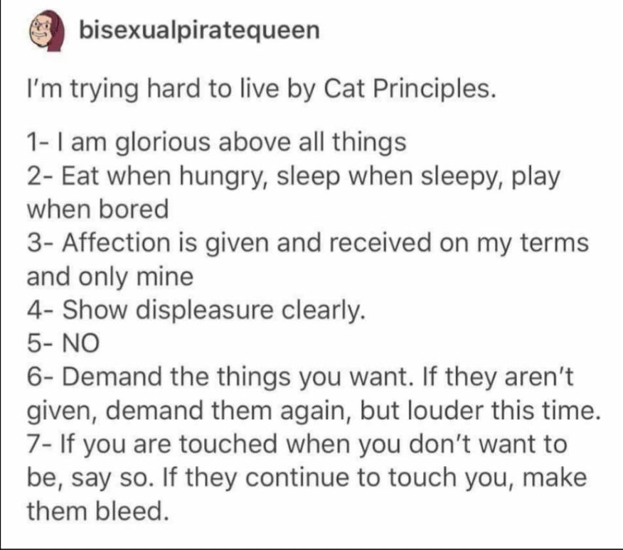 living+by+cat+principles