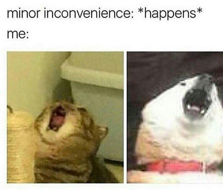 minor+inconvenience