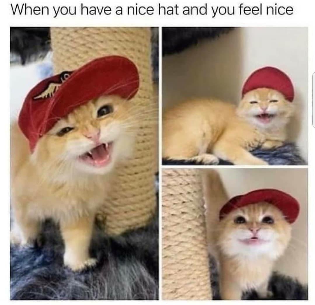 nice+hat