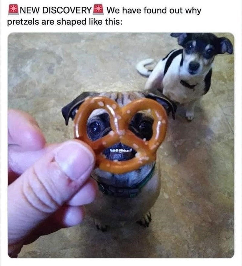 pretzel+pup