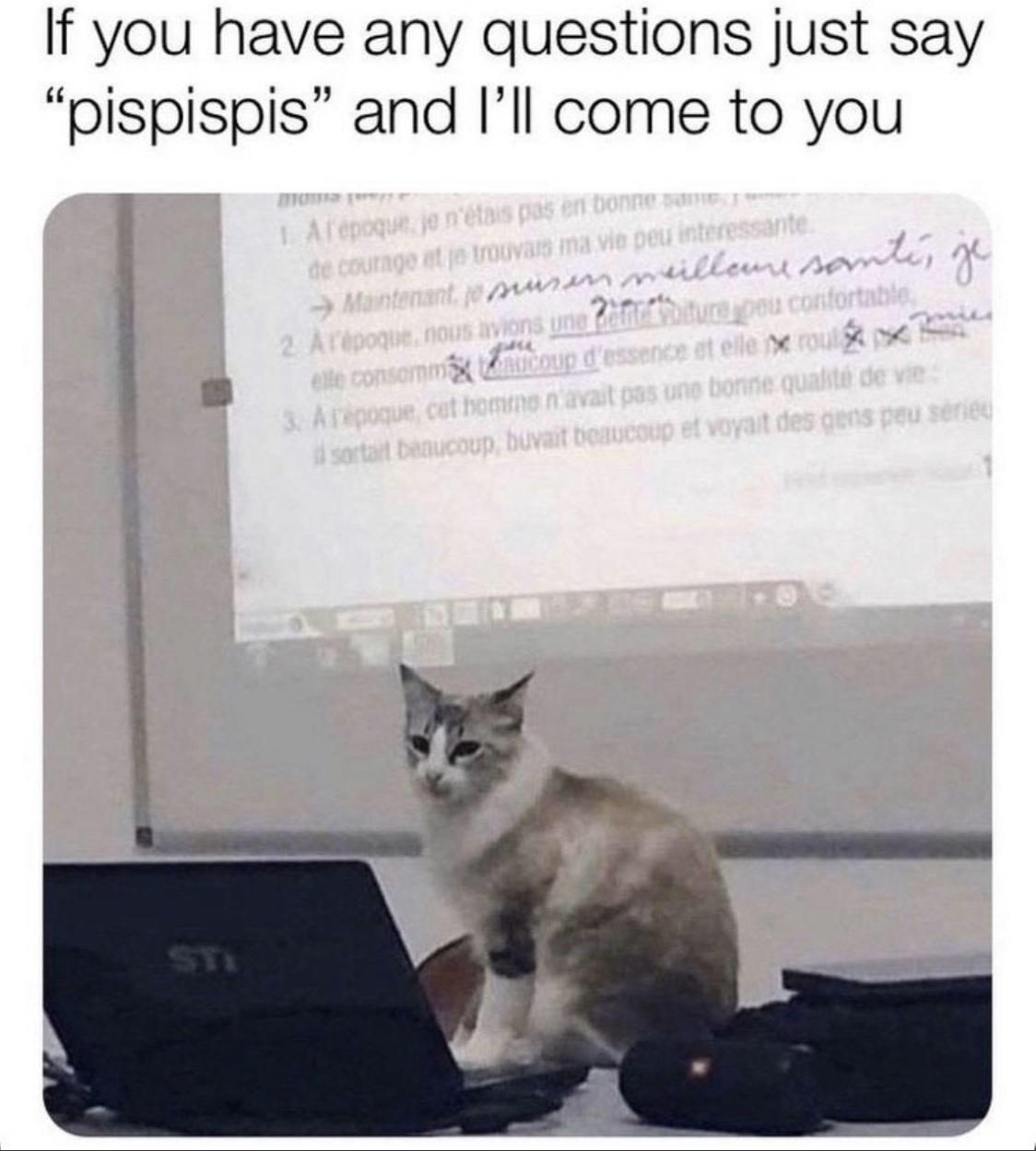 professor+kitty