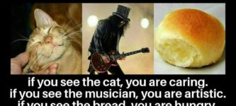 purr-riff-a+roll+vision