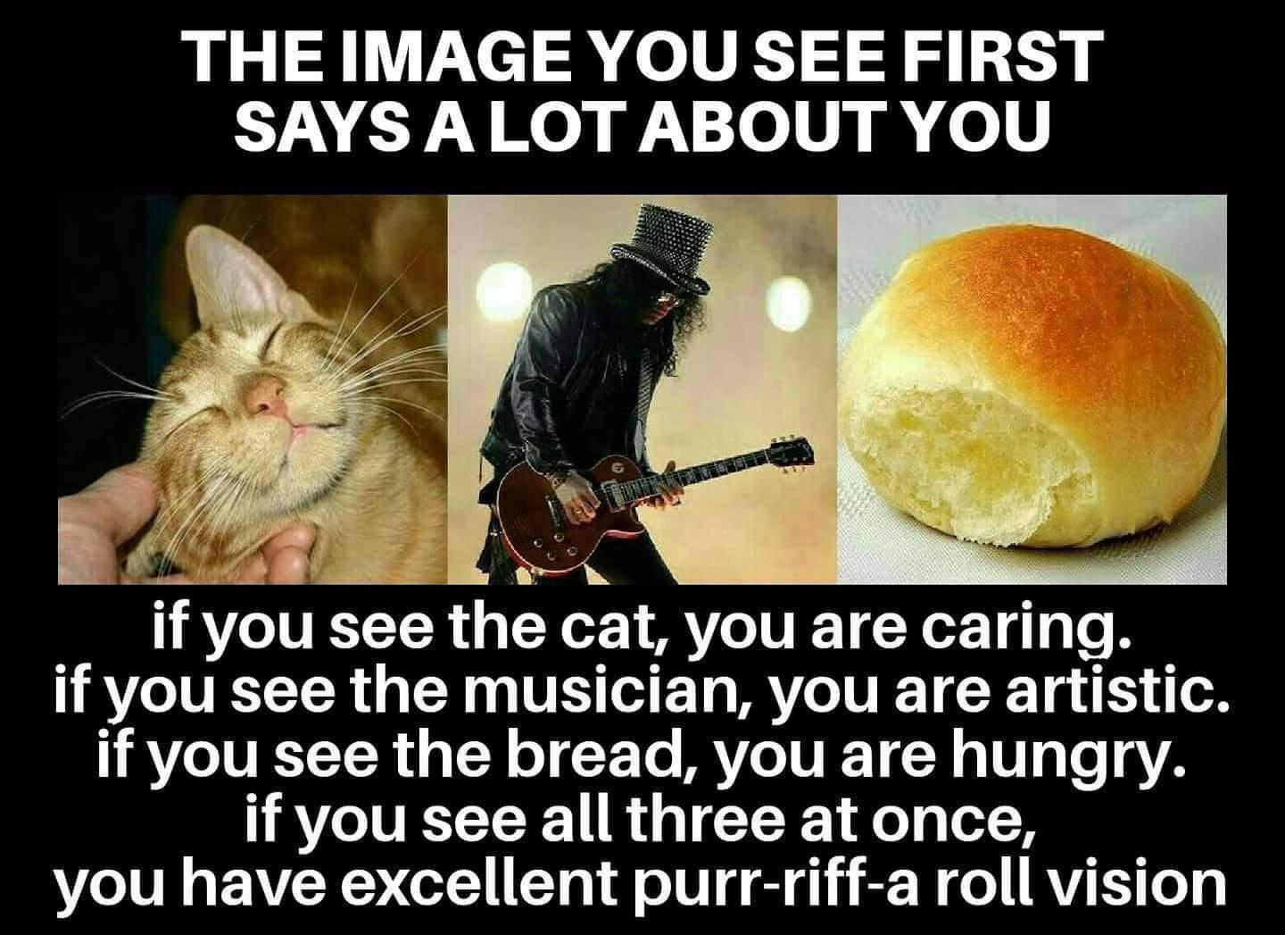 purr-riff-a+roll+vision