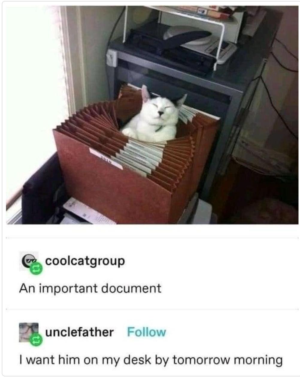 filed+under+%26%238216%3Bc%26%238217%3B