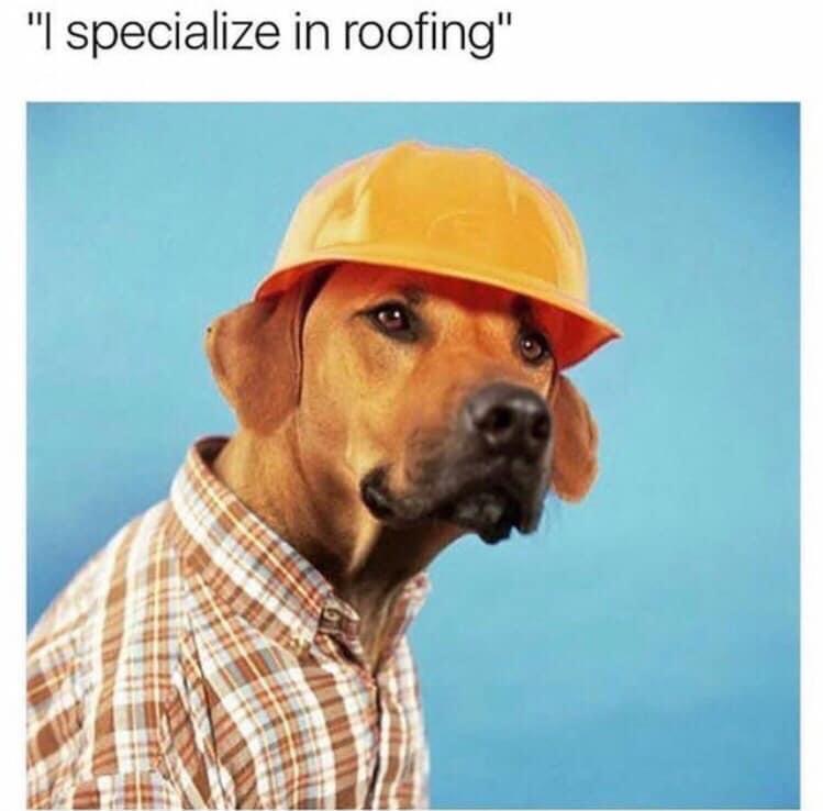 roofing+specialist