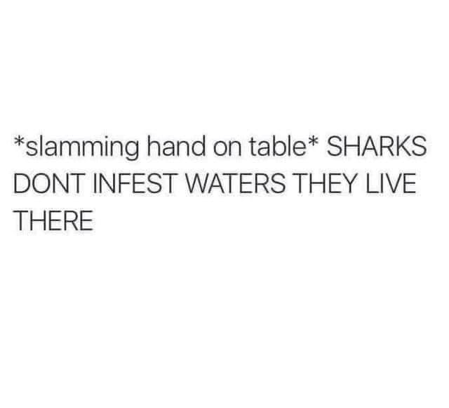 sharks+live+there