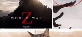 world+war+z+cat