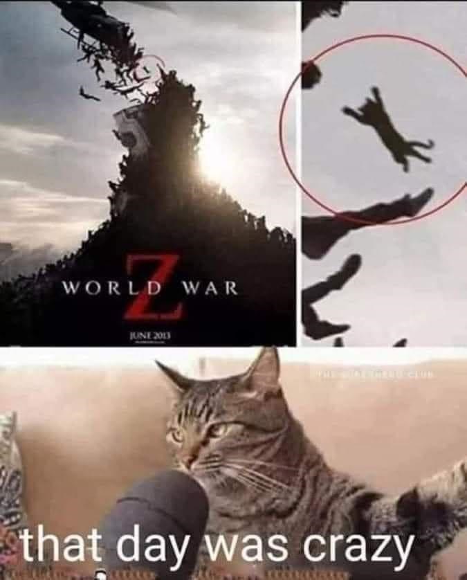 world+war+z+cat