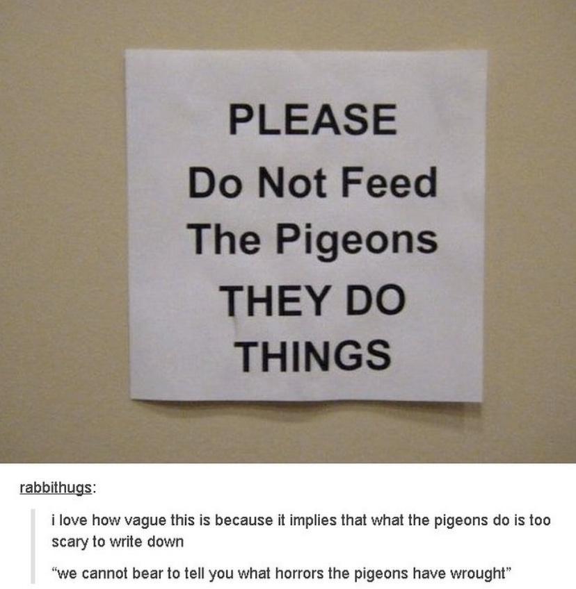 the+pigeons+do+things