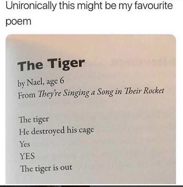 the+tiger+is+out