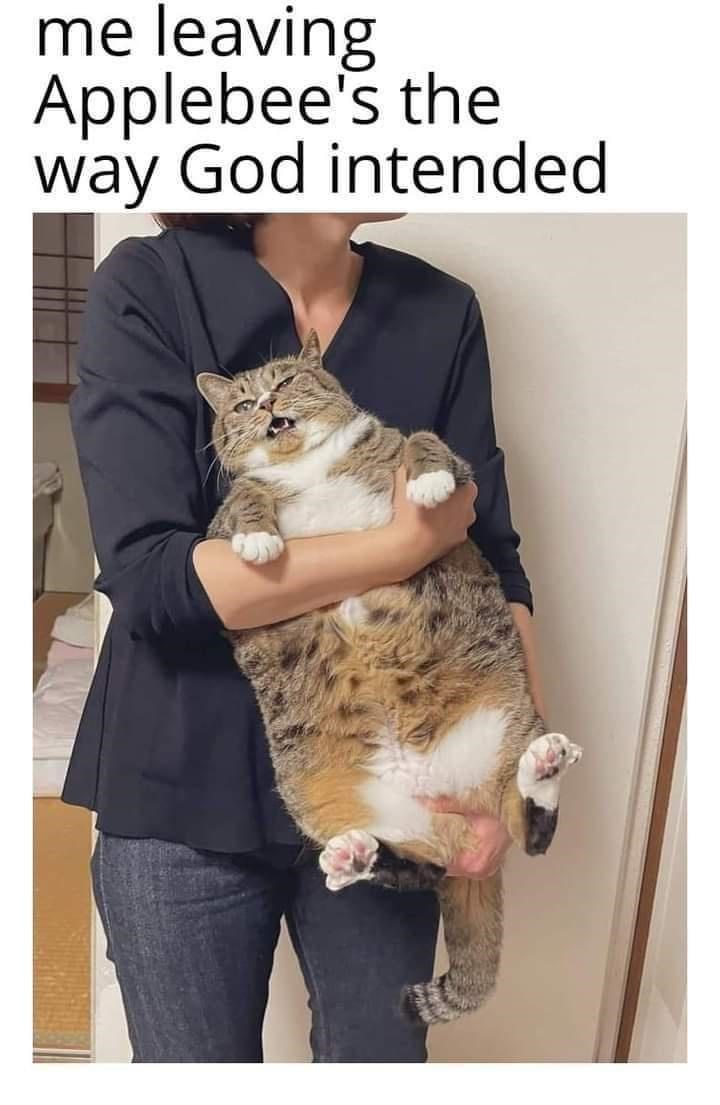 the+way+god+intended