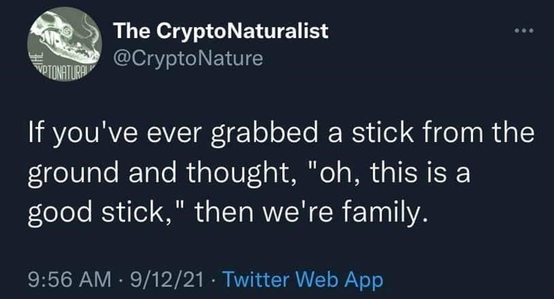 this+is+a+good+stick