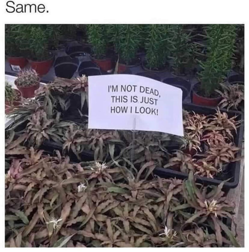 this+is+just+how+i+look