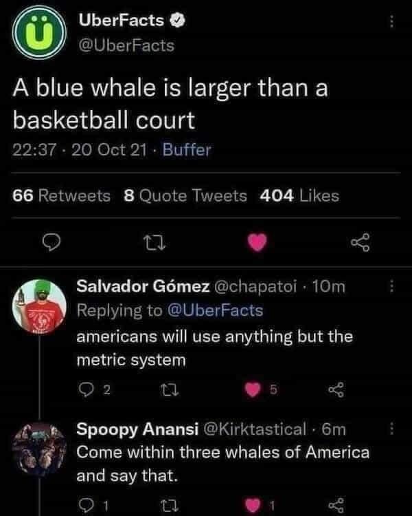 three+whales+of+america