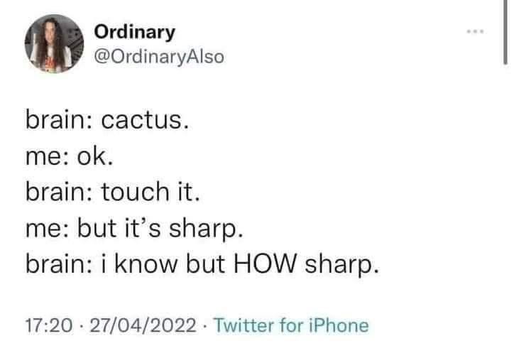 touch+the+cactus