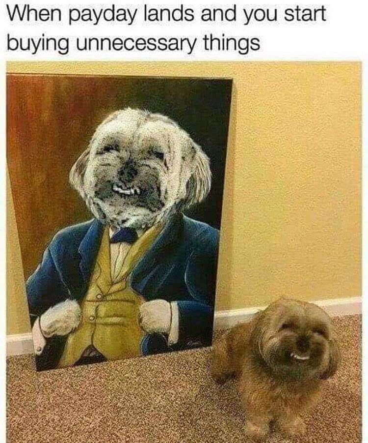 this+was+a+necessary+purchase