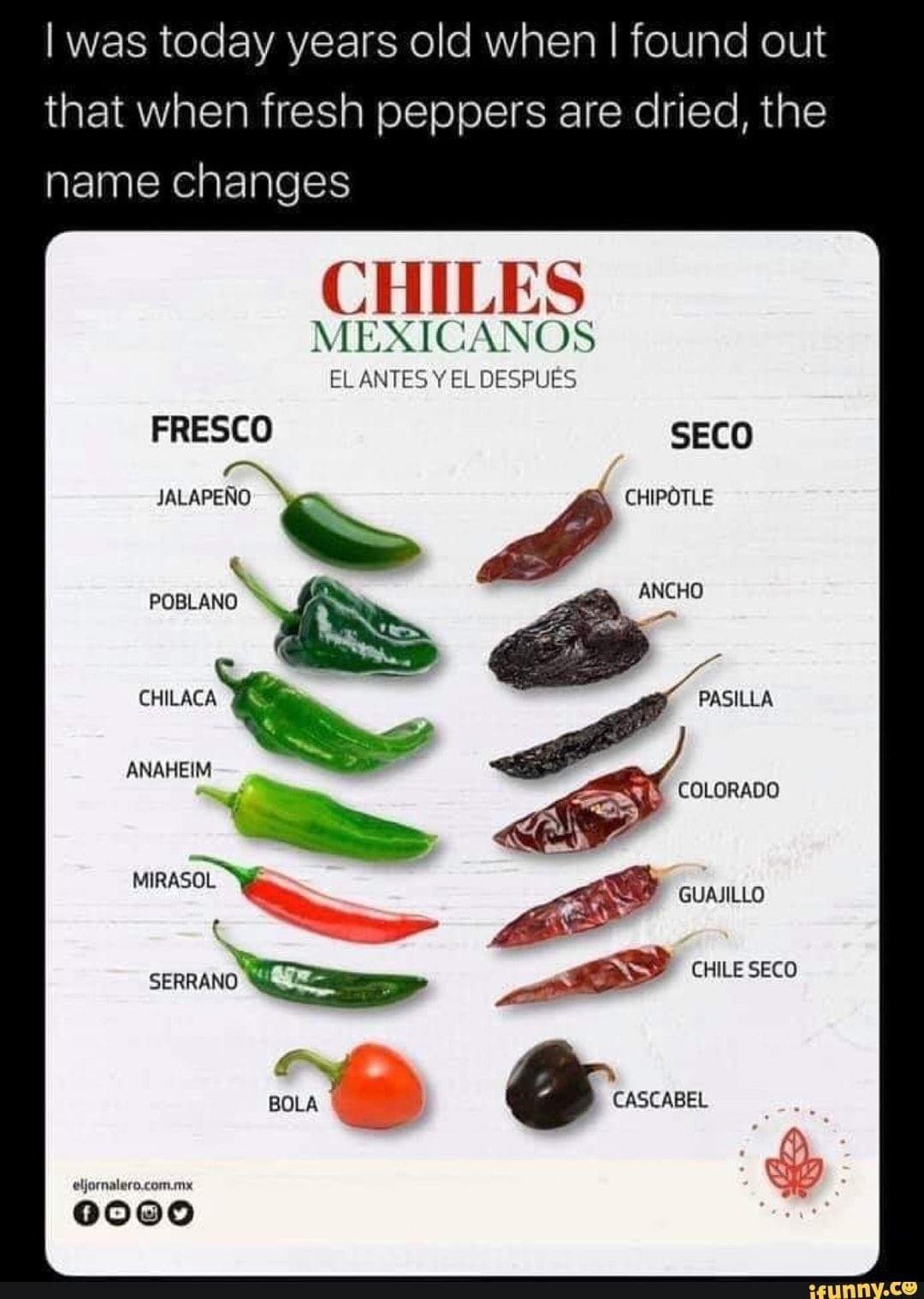 new+chile%2C+who+dis%3F