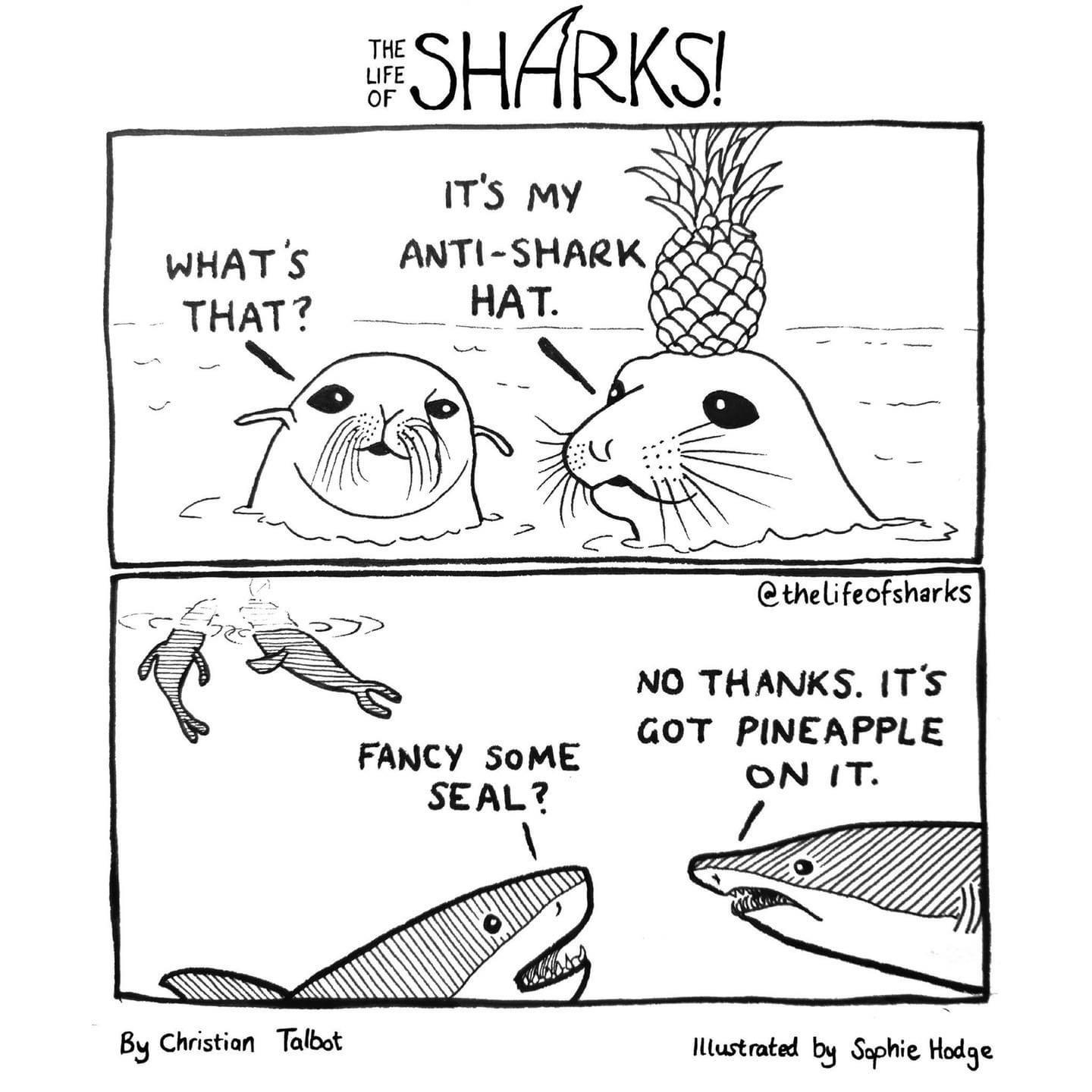 anti+shark+hat