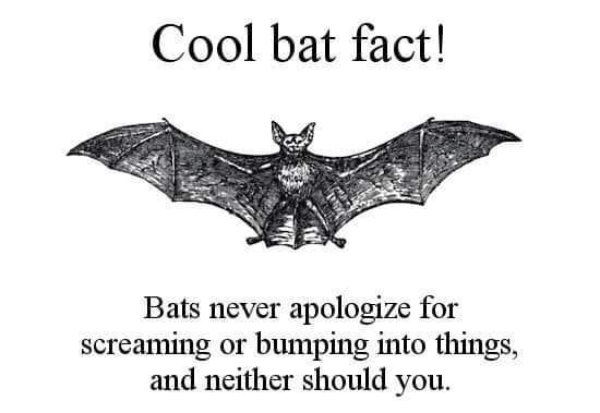 bats+never+apologize+and+neither+should+you