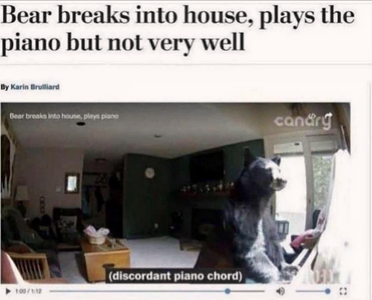 bear+dreams+of+playing+piano