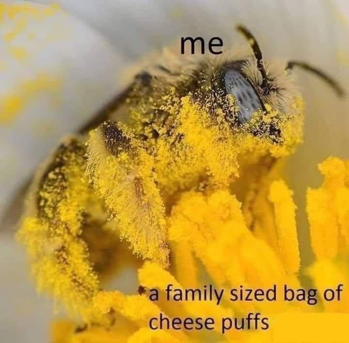 don%26%238217%3Bt+touch+my+cheesey+poofs%21