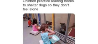 children+practice+reading+books+to+shelter+dogs+so+they+don%26%238217%3Bt+feel+alone
