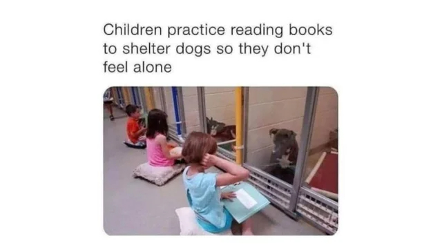 children+practice+reading+books+to+shelter+dogs+so+they+don%26%238217%3Bt+feel+alone