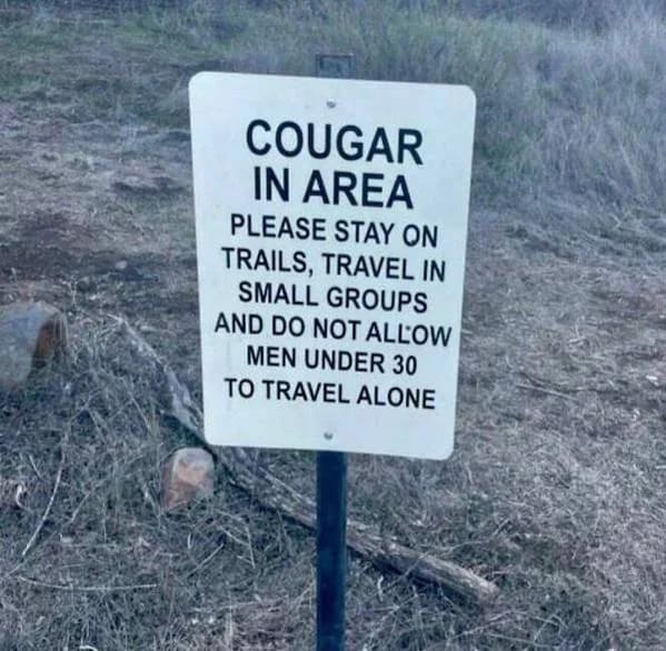 cougar+in+area