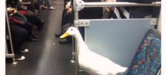 just+ducking+around+on+the+bus