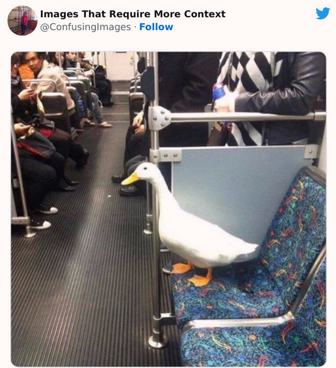 just+ducking+around+on+the+bus