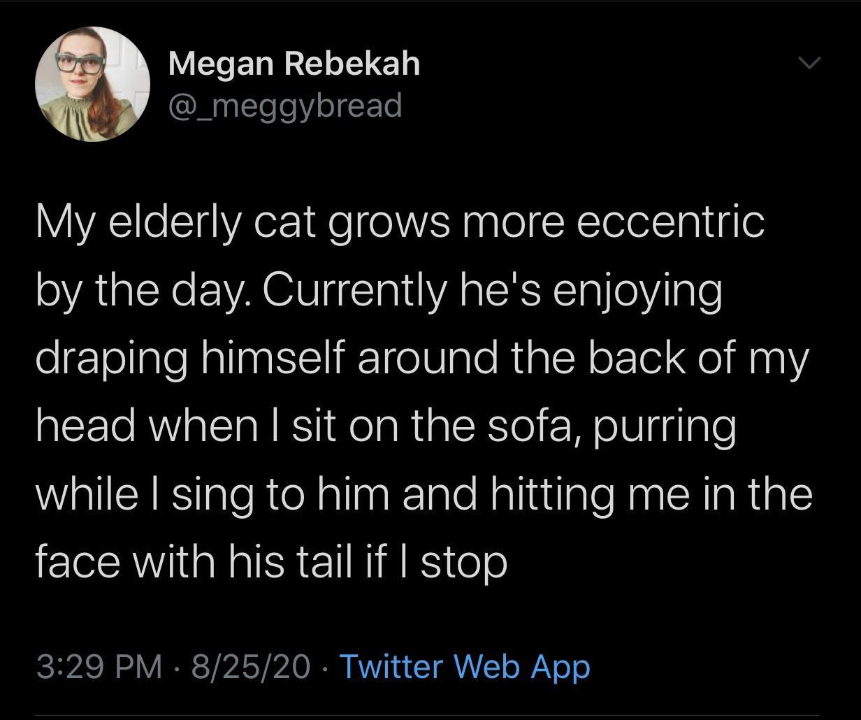 elderly+cat+tails