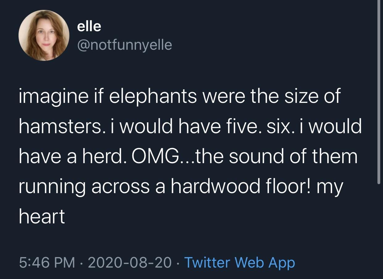 elephants+the+size+of+hamsters