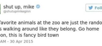 favorite+zoo+animals