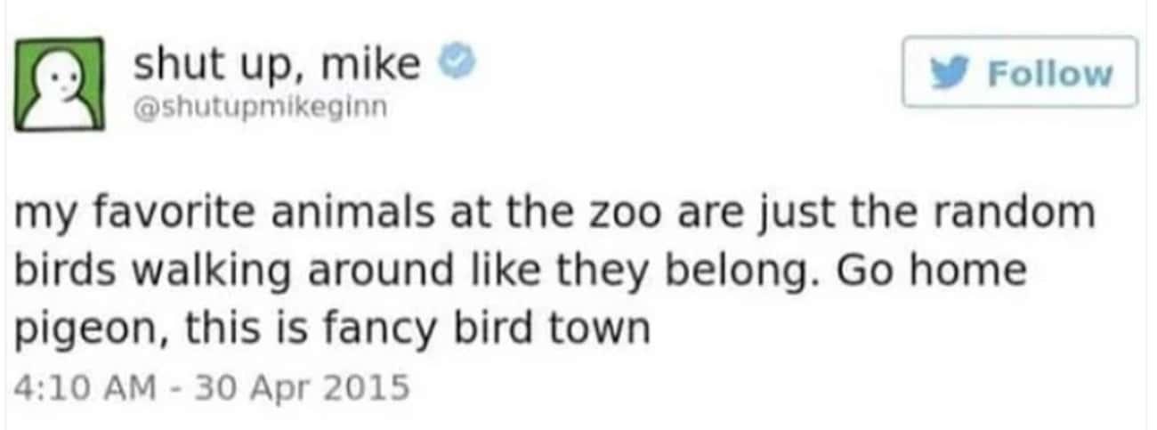 favorite+zoo+animals