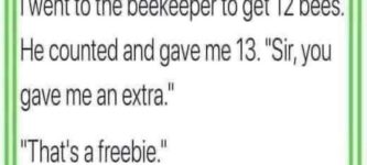 freebee