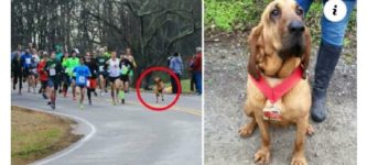 good+boi+runs+half+marathon