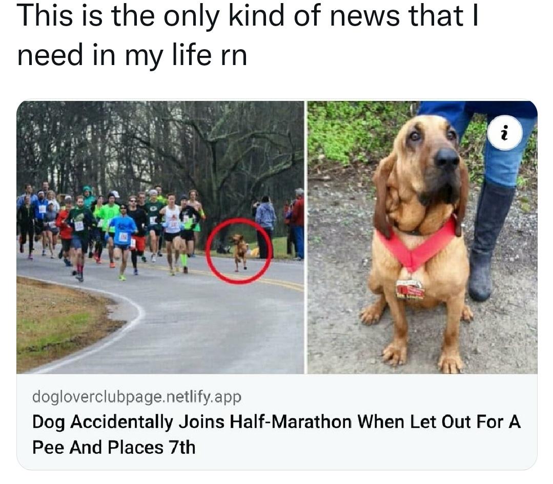good+boi+runs+half+marathon