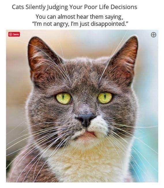 its+just+disappointed