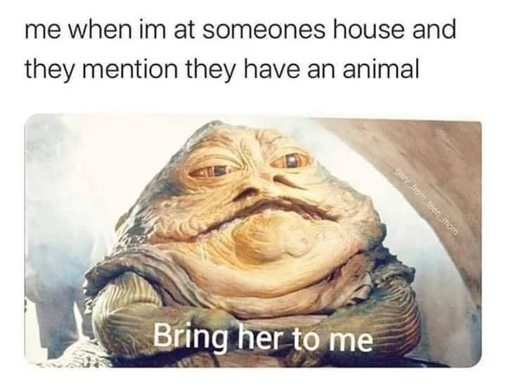 i+would+like+to+pet+them