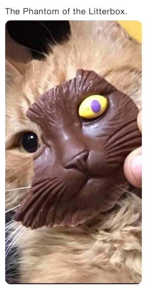 phantom+of+the+litterbox