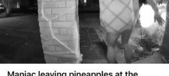 pineapple+man