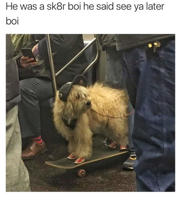 sk8er+boi