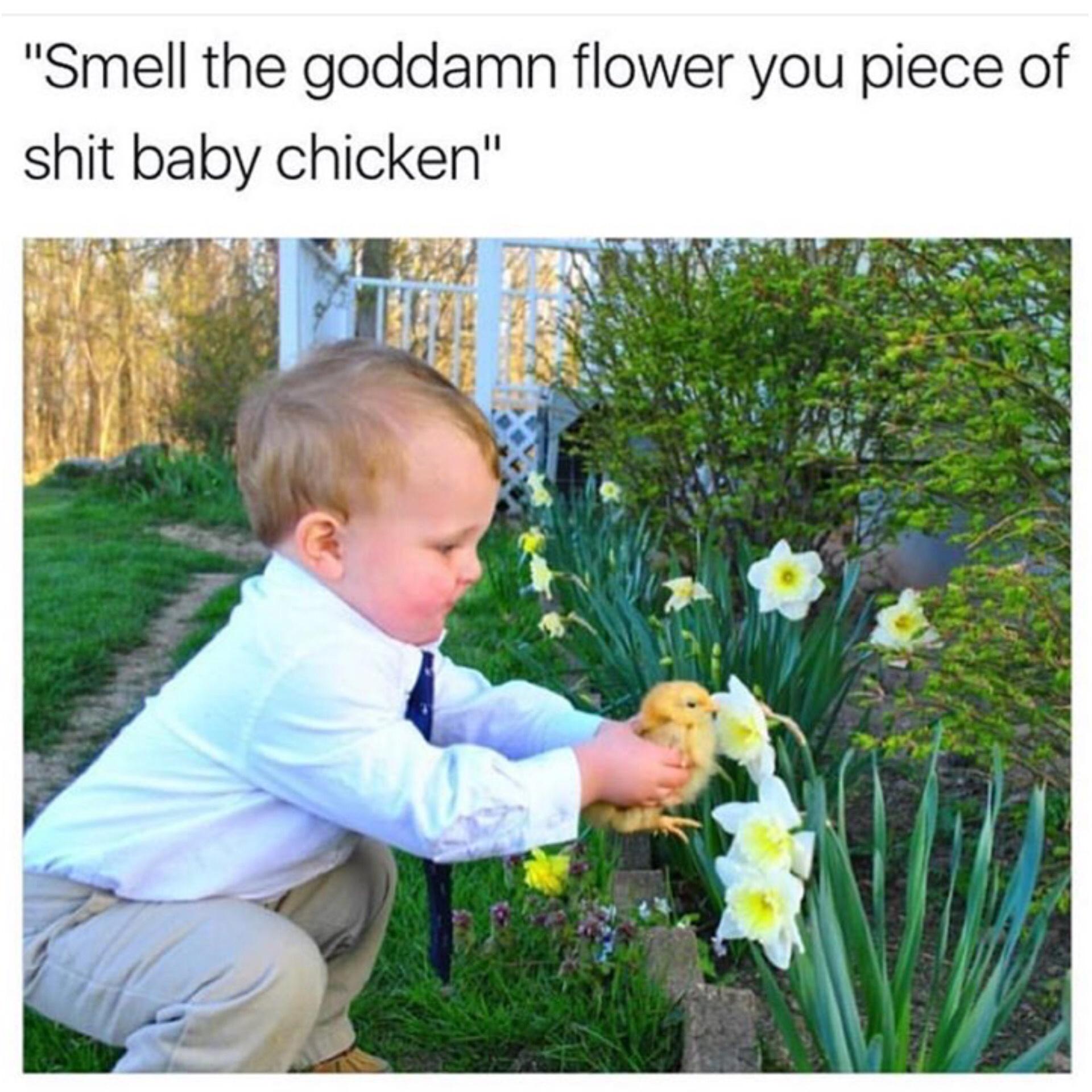 smell+the+flower