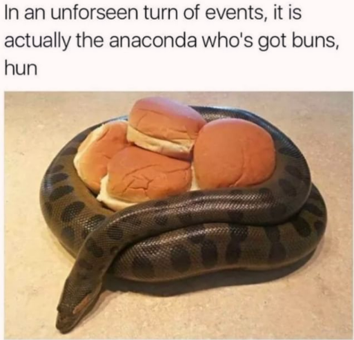 the+anaconda+got+buns+hun