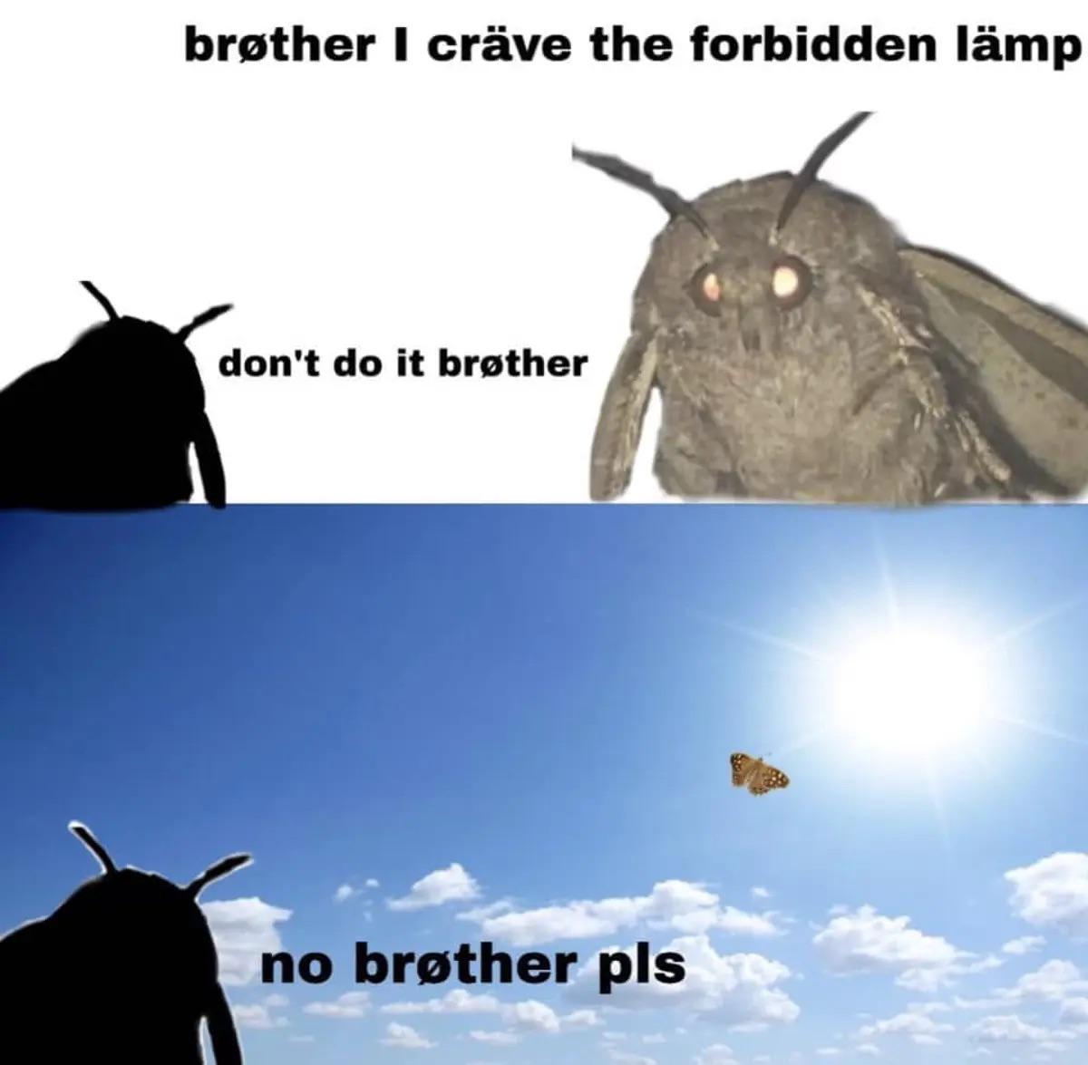 the+forbidden+lamp