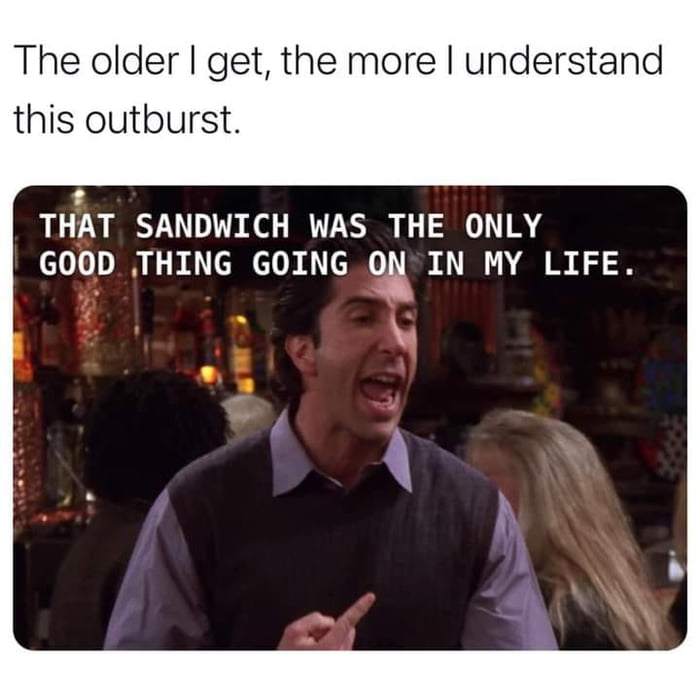 the+older+you+get+the+more+relatable+ross+is