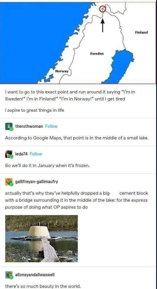 this+is+what+dreams+are+made+of