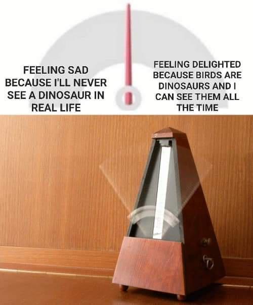 bird+watching+is+now+known+as+dinosaur+watching